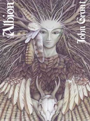 cover image of Albion